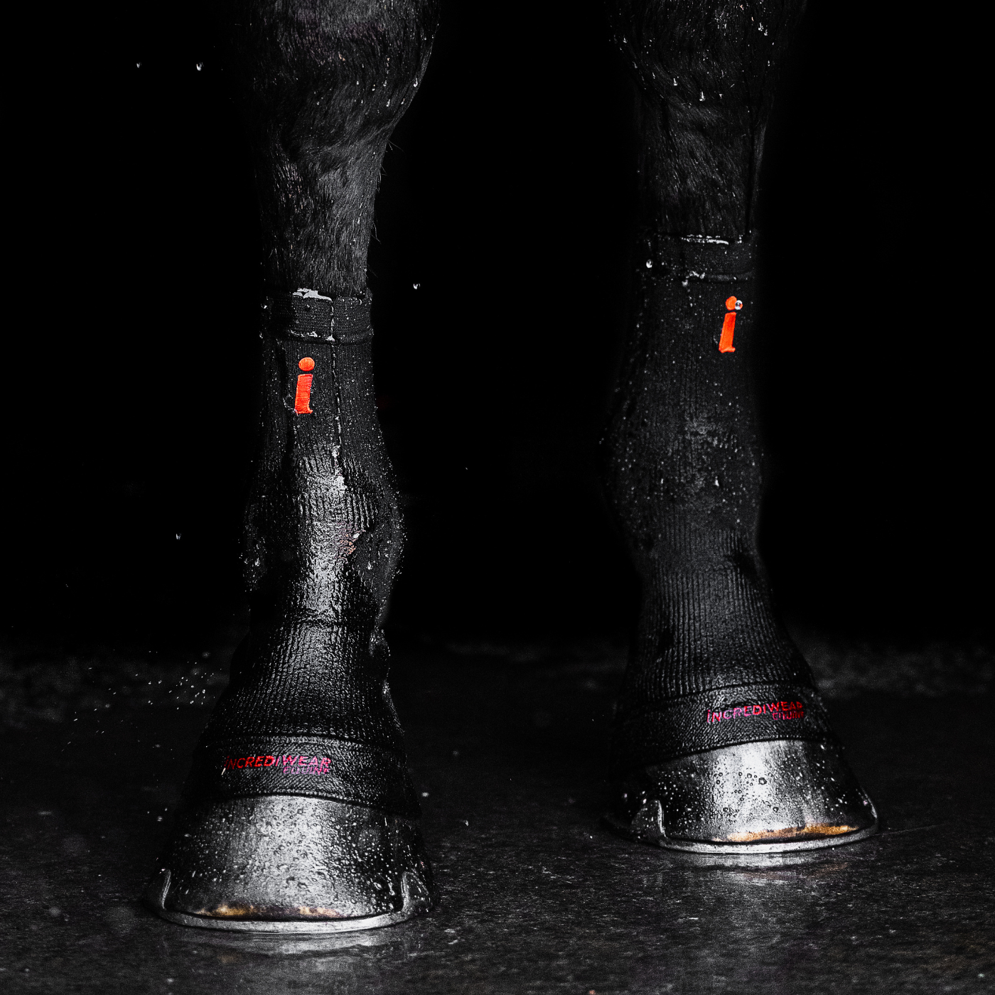 BLACK Incrediwear Equine Hoof Socks