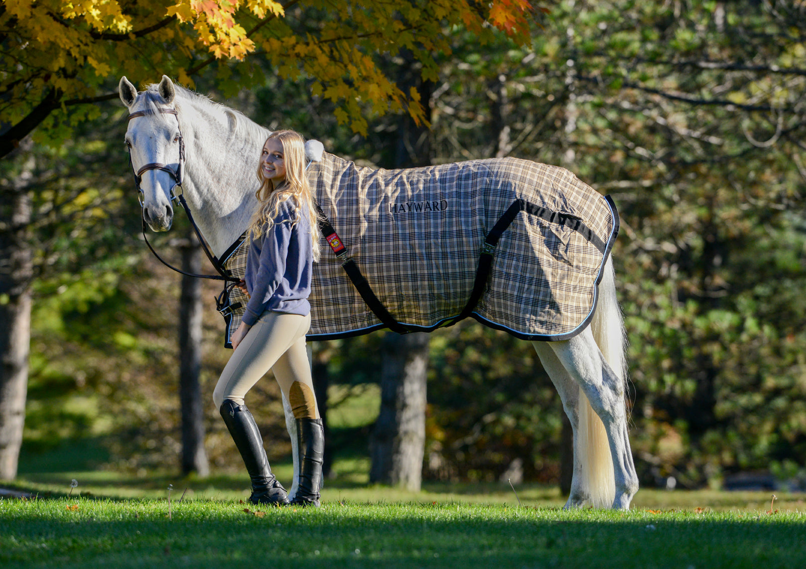 5/a Baker Original Horse Sheet